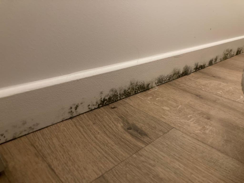 Photo n° 2 de l'avis de M. fait le 10/11/2023 à 21:12