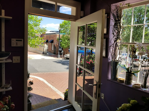 Florist «Ultra Violet Flowers», reviews and photos, 1218 31st St NW, Washington, DC 20007, USA