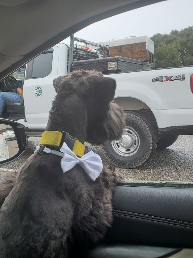 Pet Groomer «Dog Gone Cute Grooming & Bowtique», reviews and photos, 446 Racetrack Rd NW Unit F, Fort Walton Beach, FL 32547, USA