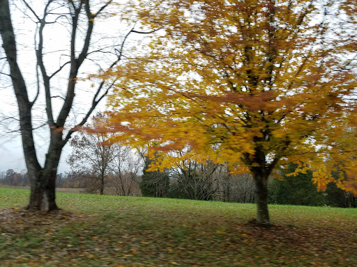 Non-Profit Organization «Community Action of Southern Indiana», reviews and photos