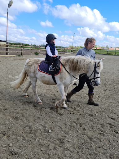 Foxdenton Farm Riding School