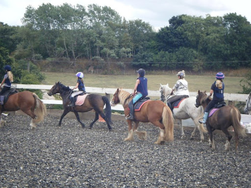 BROAD VIEW RIDING SCHOOL