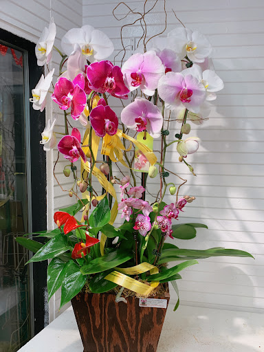 Florist «Absolutely Flowers & Balloons», reviews and photos, 10900 Westminster Ave # 4, Garden Grove, CA 92843, USA
