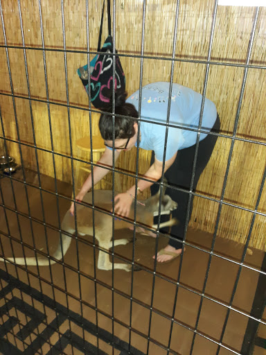 Event Venue «Greensboro Coliseum Complex», reviews and photos, 1921 W Gate City Blvd, Greensboro, NC 27403, USA