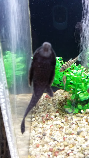 Pet Supply Store «Paws & Claws & Co», reviews and photos, 1801 E Market St, Warsaw, IN 46580, USA