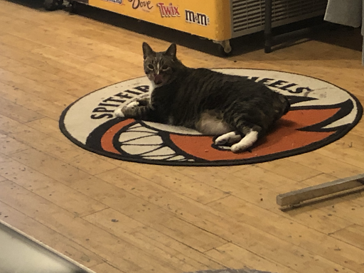 Skateboard Park «Asylum Skate Park», reviews and photos, 29850 Skokie Hwy, Lake Bluff, IL 60044, USA