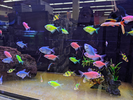 Pet Supply Store «Petco Animal Supplies», reviews and photos, 1 US-46, Totowa, NJ 07512, USA