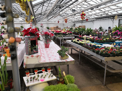 SARL LOGEART HORTICULTEUR - FLEURISTE à Villemandeur