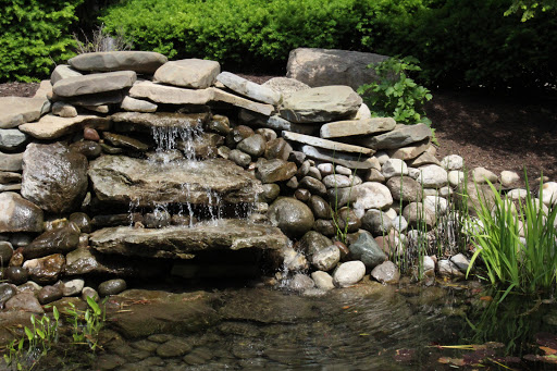 University «Rochester Institute of Technology», reviews and photos