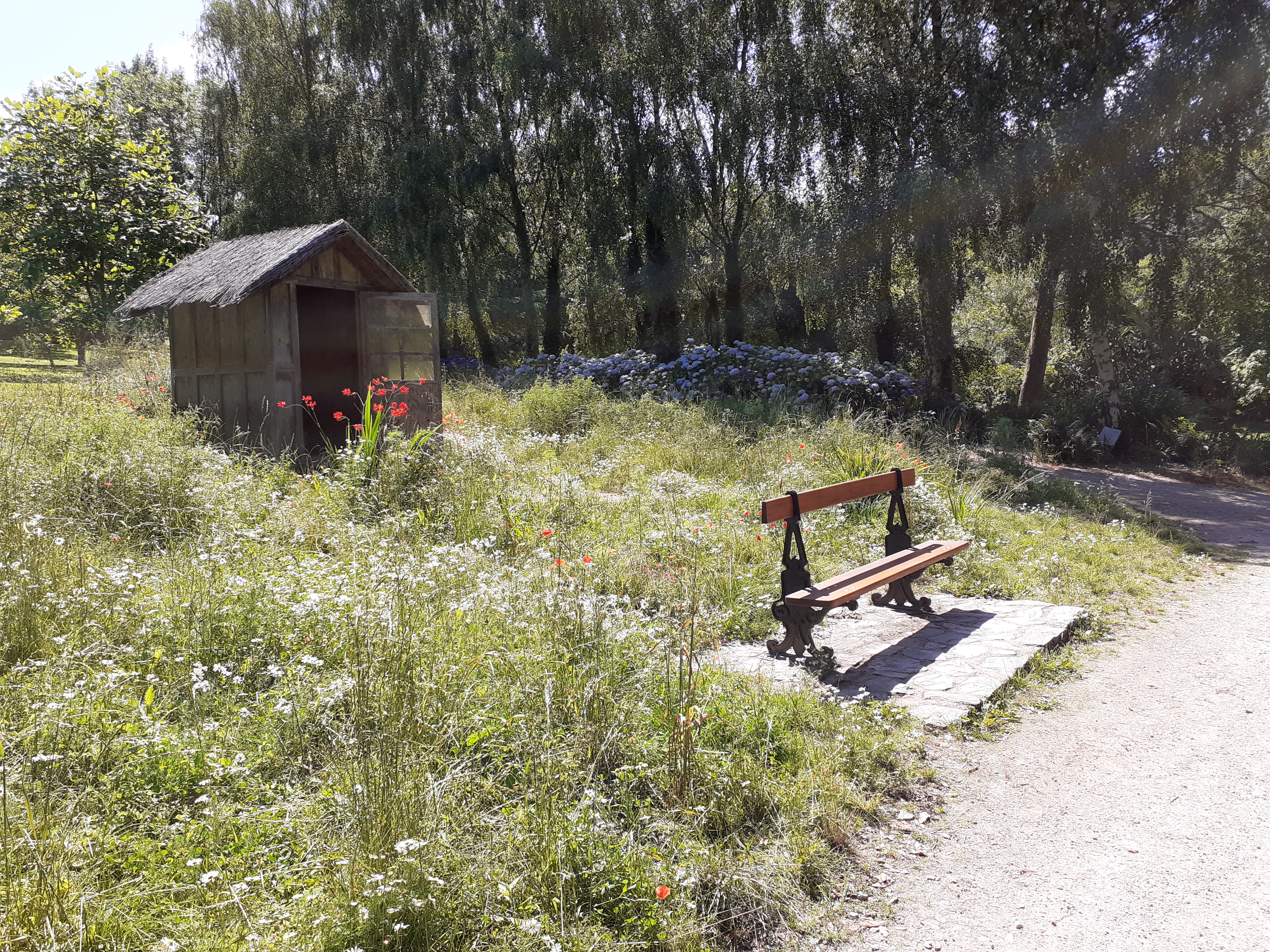 Photo n° 4 de l'avis de Sylvain. fait le 20/07/2020 à 12:05