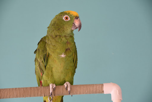 Pet Supply Store «Animal House Pet Supplies», reviews and photos, 733 Phillips Blvd, Sauk City, WI 53583, USA