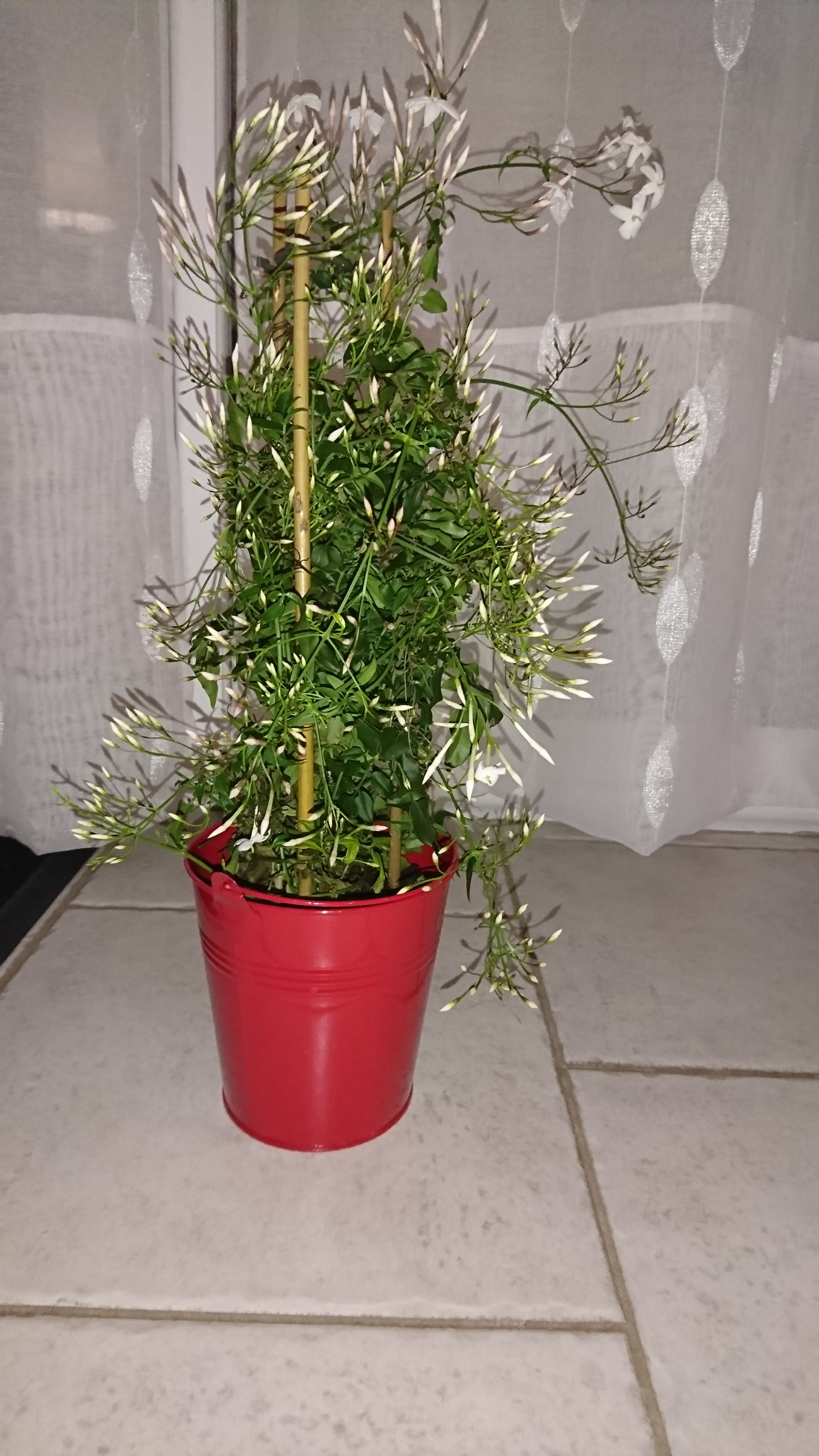 Photo n° 3 de l'avis de Fred.o fait le 12/02/2021 à 21:51
