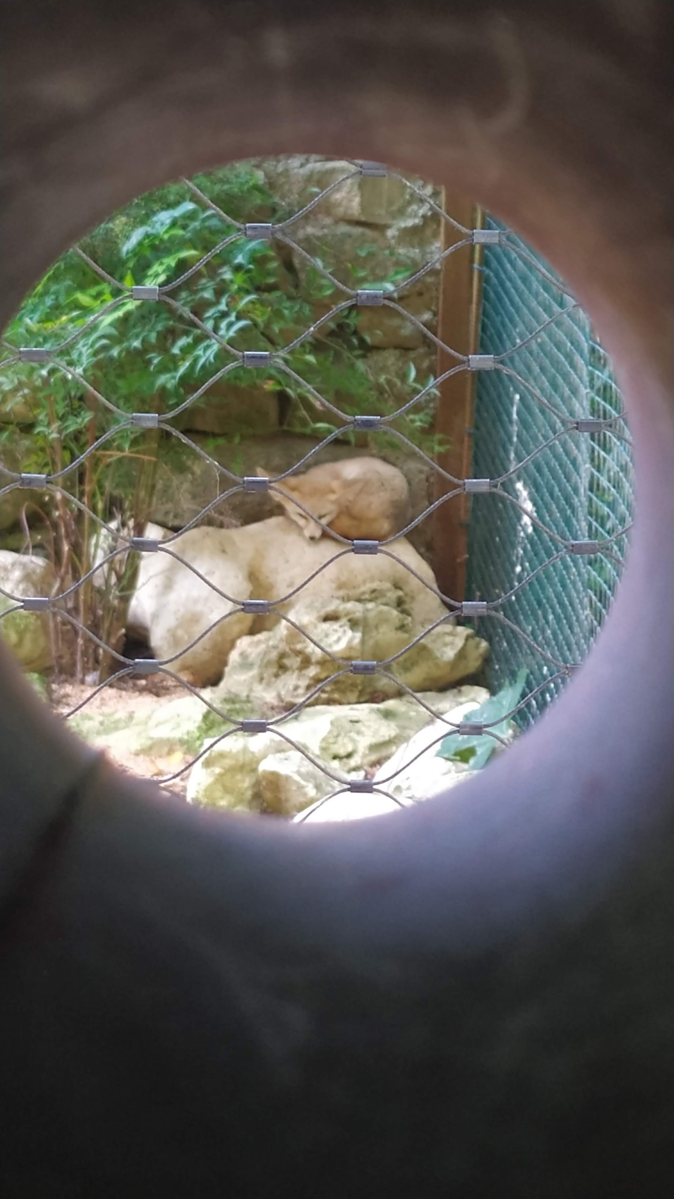 Photo n° 4 de l'avis de Joh.n fait le 23/08/2022 à 21:38