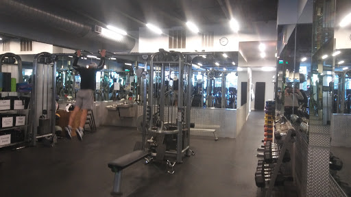 Gym «Wicker Park Fitness», reviews and photos, 1735 W Division St #1, Chicago, IL 60622, USA