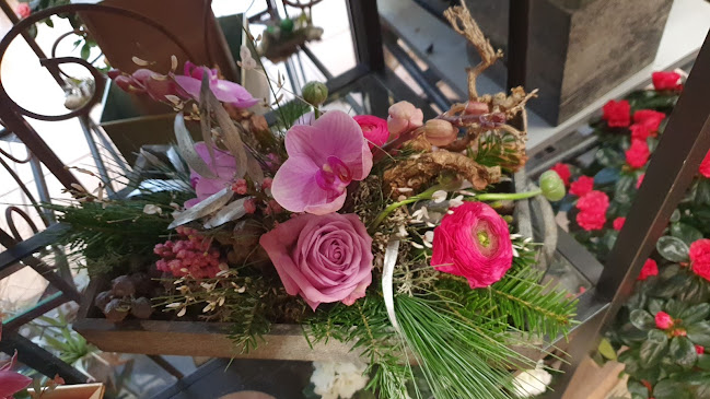 Rezensionen über Sollberger Fleurs in Yverdon-les-Bains - Blumengeschäft