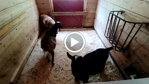 Science Museum «Museum of Life and Science», reviews and photos, 433 W Murray Ave, Durham, NC 27704, USA