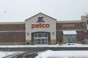 Petco image