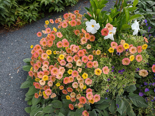 Art Museum «Villa Terrace Decorative Arts Museum», reviews and photos, 2220 N Terrace Ave, Milwaukee, WI 53202, USA