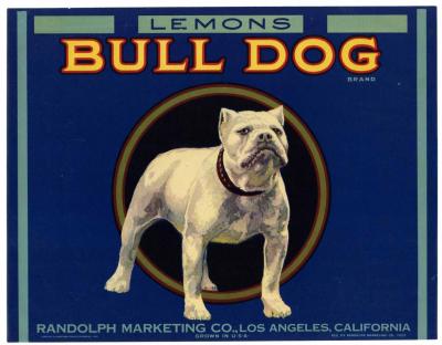 Coin Dealer «Treasures Through Time», reviews and photos, 119 W Main St, Charlottesville, VA 22902, USA