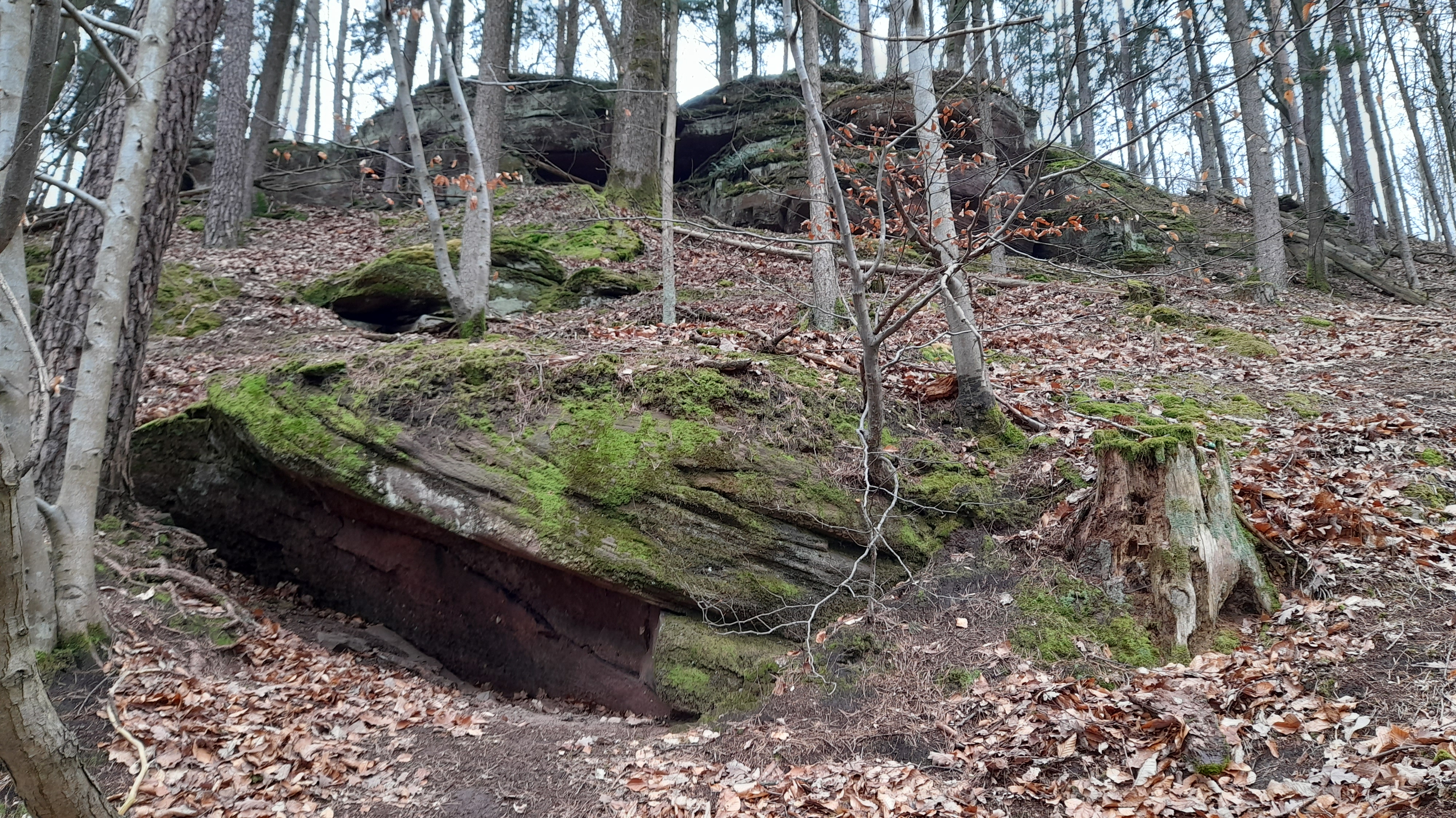 Photo n° 15 de l'avis de NoKurzTif.i fait le 17/03/2022 à 12:37