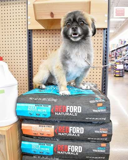 Pet Supply Store «Pet Supplies Plus», reviews and photos, 7041 Barker Cypress Rd, Cypress, TX 77433, USA