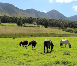 Karweyderskraal Farm photo
