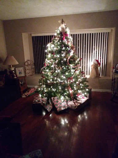 Country Club «Buckhorn Springs Golf and Country Club», reviews and photos, 2721 S Miller Rd, Valrico, FL 33596, USA