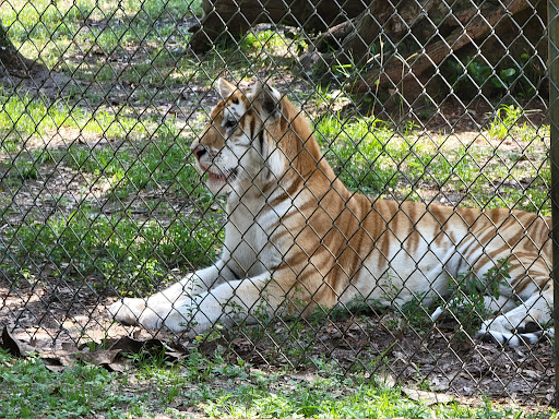 Zoo «Gulf Breeze Zoo», reviews and photos, 5701 Gulf Breeze Pkwy, Gulf Breeze, FL 32563, USA