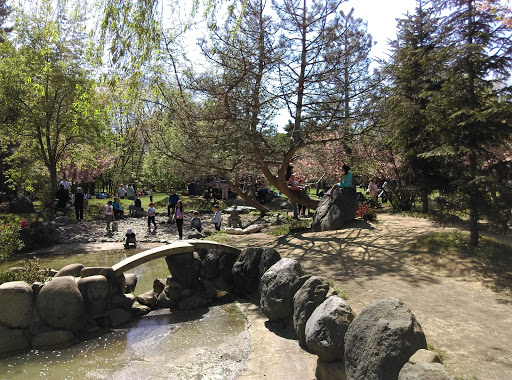 The Japanese Garden of Herăstrău Park