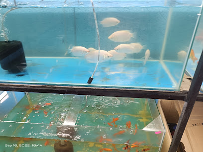 Fish Land pets shop