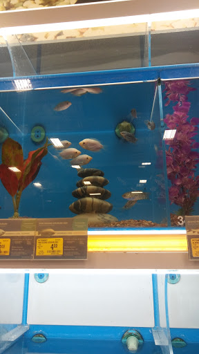 Pet Supply Store «PetSmart», reviews and photos, 11331 Causeway Blvd, Brandon, FL 33511, USA
