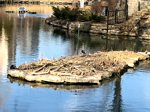 Park «Lincoln Park», reviews and photos, 2045 N Lincoln Park W, Chicago, IL 60614, USA