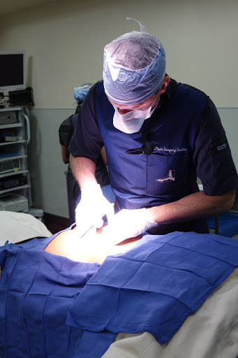 Dr. Steven Meier Orthopedic Sports Medicine image