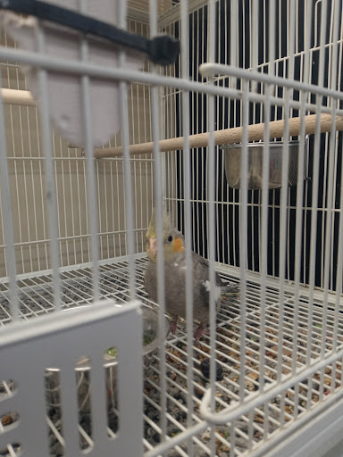 Pet Supply Store «Pet Supplies Plus», reviews and photos, 2410 Augusta Rd, West Columbia, SC 29169, USA