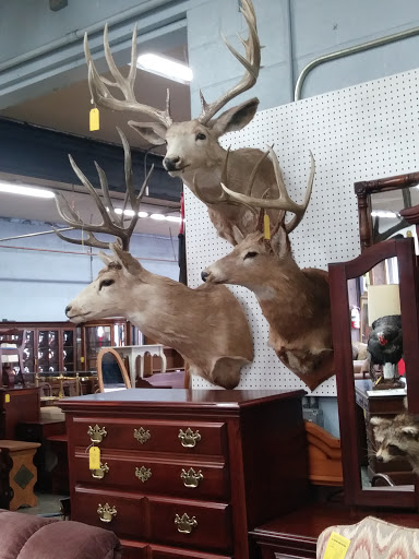 Furniture Store «Garden Spot Furniture Inc.», reviews and photos, 701 E Main St, Ephrata, PA 17522, USA