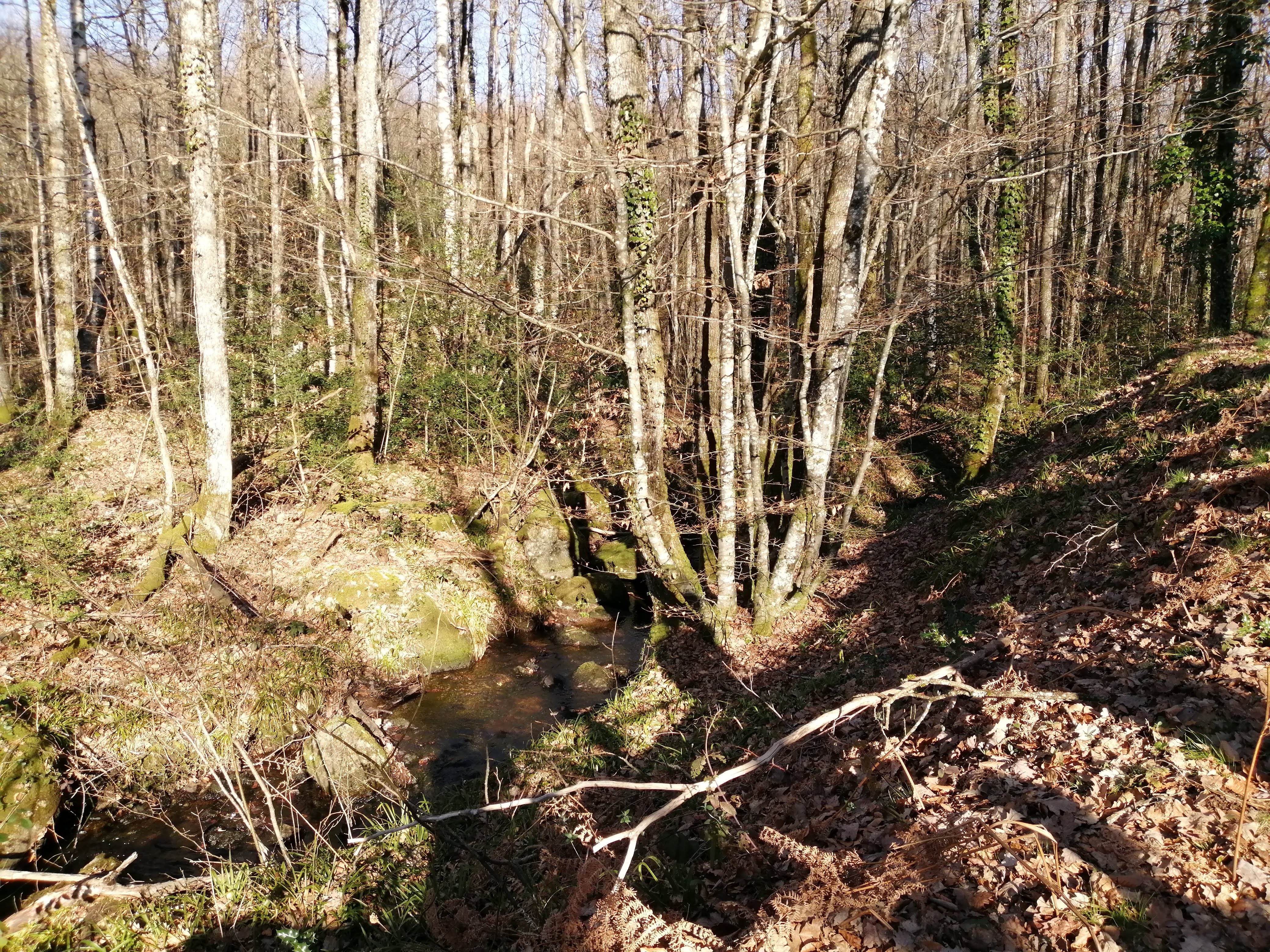 Photo n° 4 de l'avis de Palluy.a fait le 17/02/2020 à 22:01
