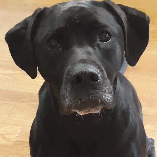 Park «Willis D. Tucker Community Park», reviews and photos, 6705 Puget Park Dr, Snohomish, WA 98296, USA