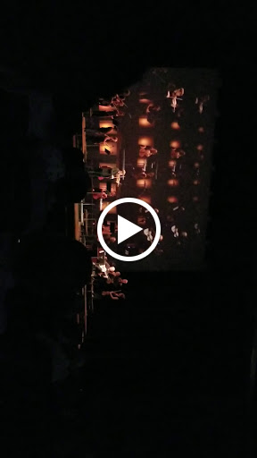 Performing Arts Theater «Miller Outdoor Theatre», reviews and photos, 6000 Hermann Park Dr, Houston, TX 77030, USA