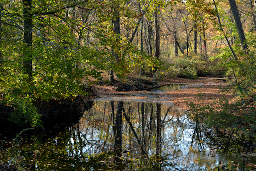 Park «Eisenhower Park», reviews and photos, 780 North St, Milford, CT 06461, USA