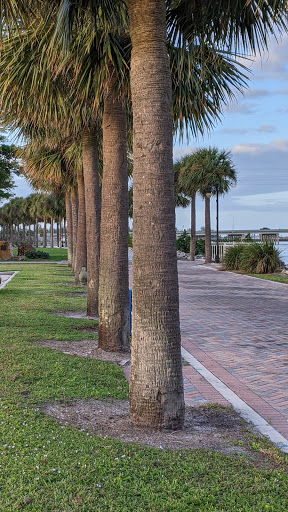 Environmental Protection Organization «Manatee Observation and Education Center», reviews and photos, 480 N Indian River Dr, Fort Pierce, FL 34950, USA