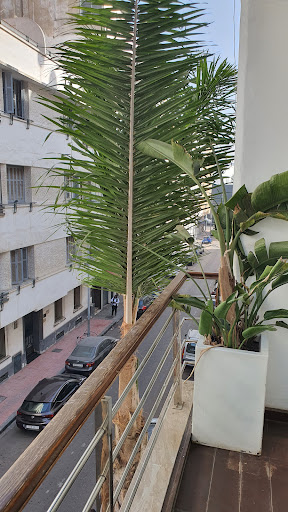 Hotel Park Suites & Spa en Casablanca