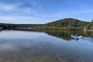 Swallow Rock Reserve image