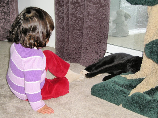 Pet Supply Store «Mud Bay», reviews and photos, 4816 Point Fosdick Dr NW, Gig Harbor, WA 98335, USA