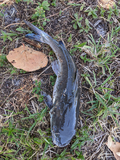 Wine Store «Three60 Market», reviews and photos, 2891 Bayview Dr, Naples, FL 34112, USA