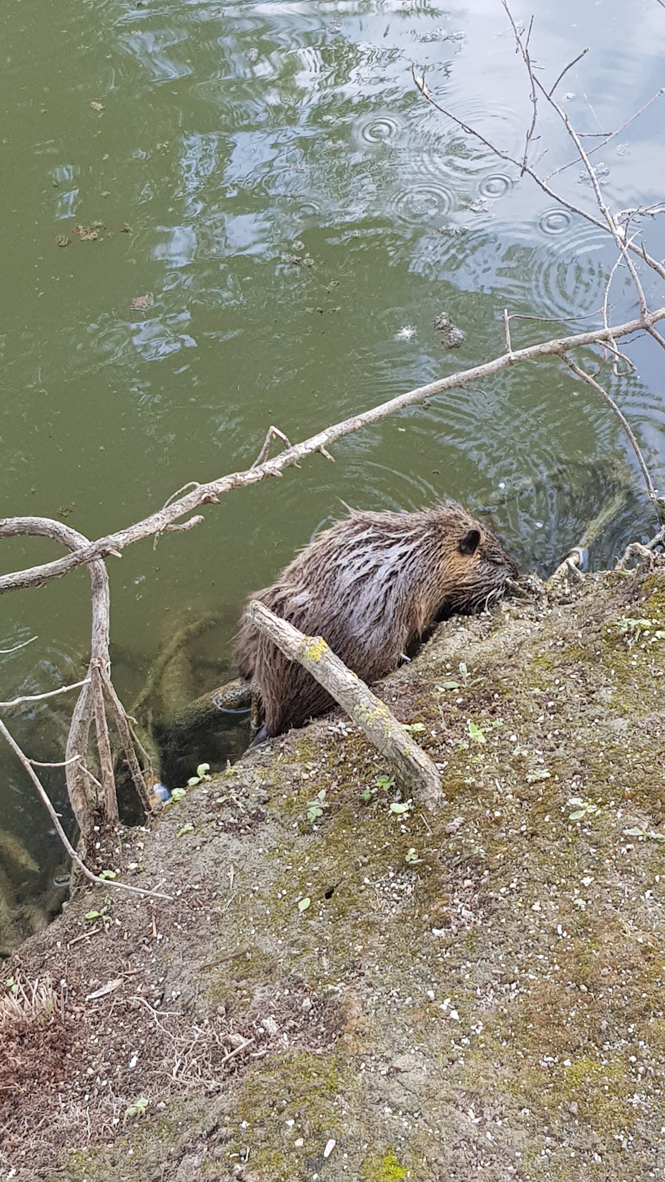 Photo n° 9 de l'avis de Marie.o fait le 30/08/2018 à 15:28
