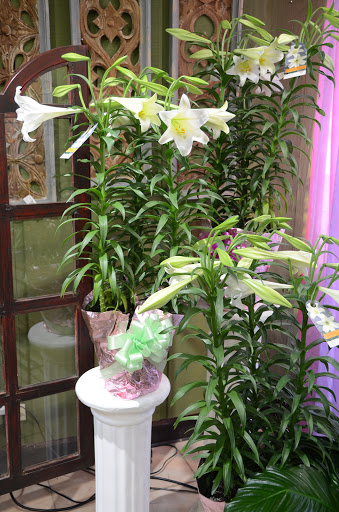 Florist «Homewood Florist», reviews and photos, 18064 Martin Ave, Homewood, IL 60430, USA