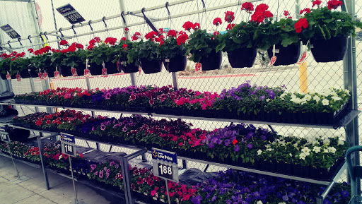 Discount Store «Walmart», reviews and photos, 701 W Princeton Dr, Princeton, TX 75407, USA