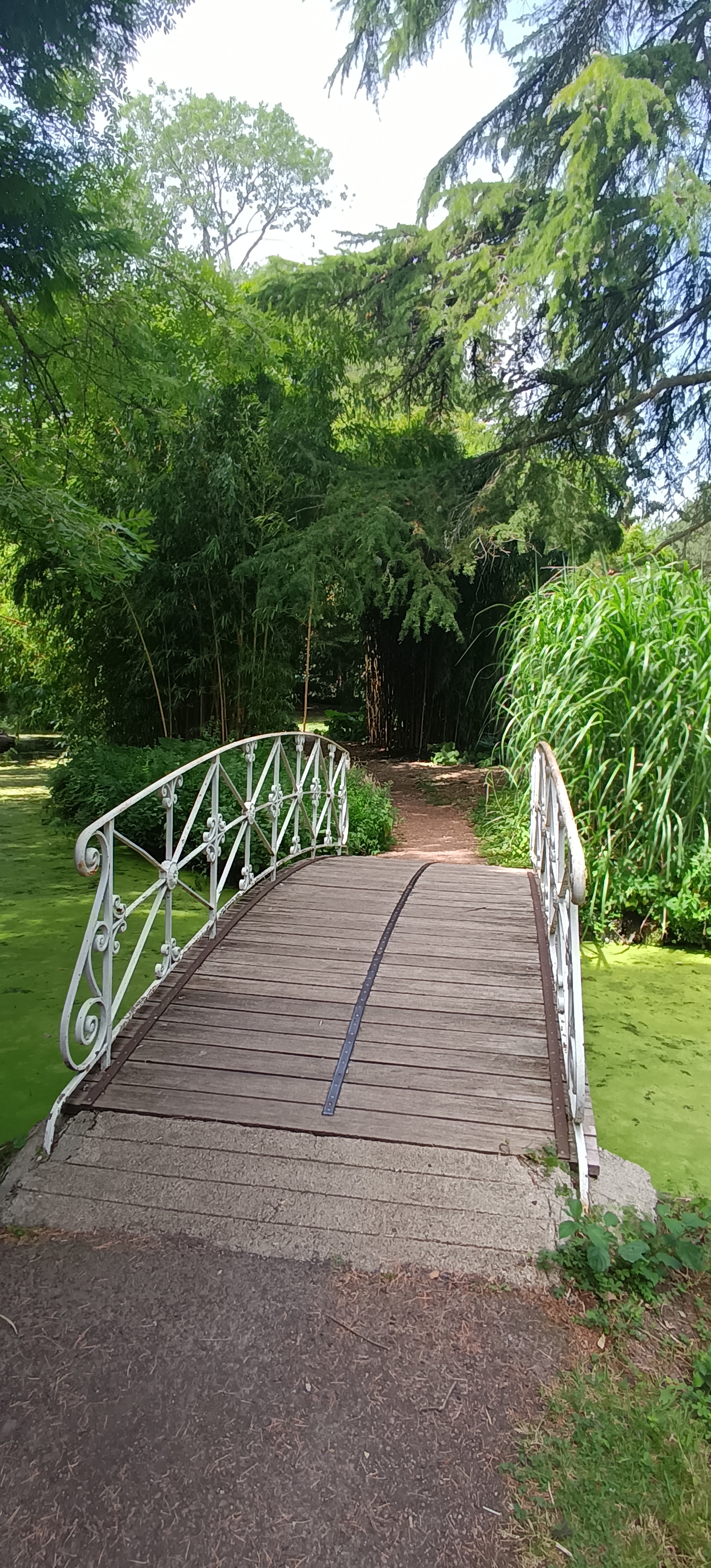 Photo n° 1 de l'avis de Adèle.a fait le 17/07/2022 à 16:19