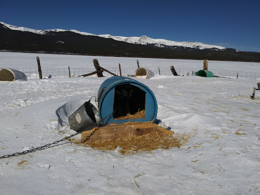 Nature Preserve «Alpine Adventures Inc», reviews and photos, 21767 US-24, Leadville, CO 80461, USA