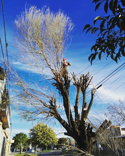 Poda árboles Paraná